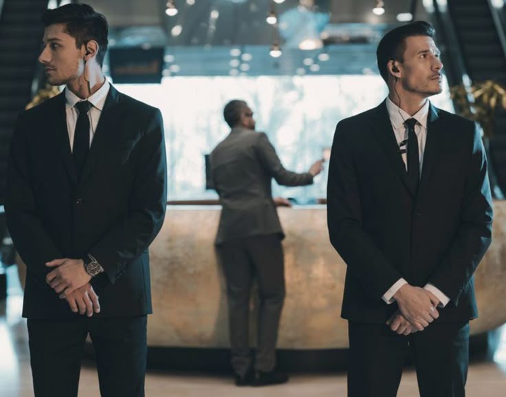 Government Security Services